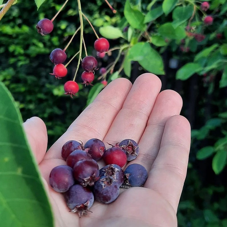 Screenshot 2023-02-03 182622