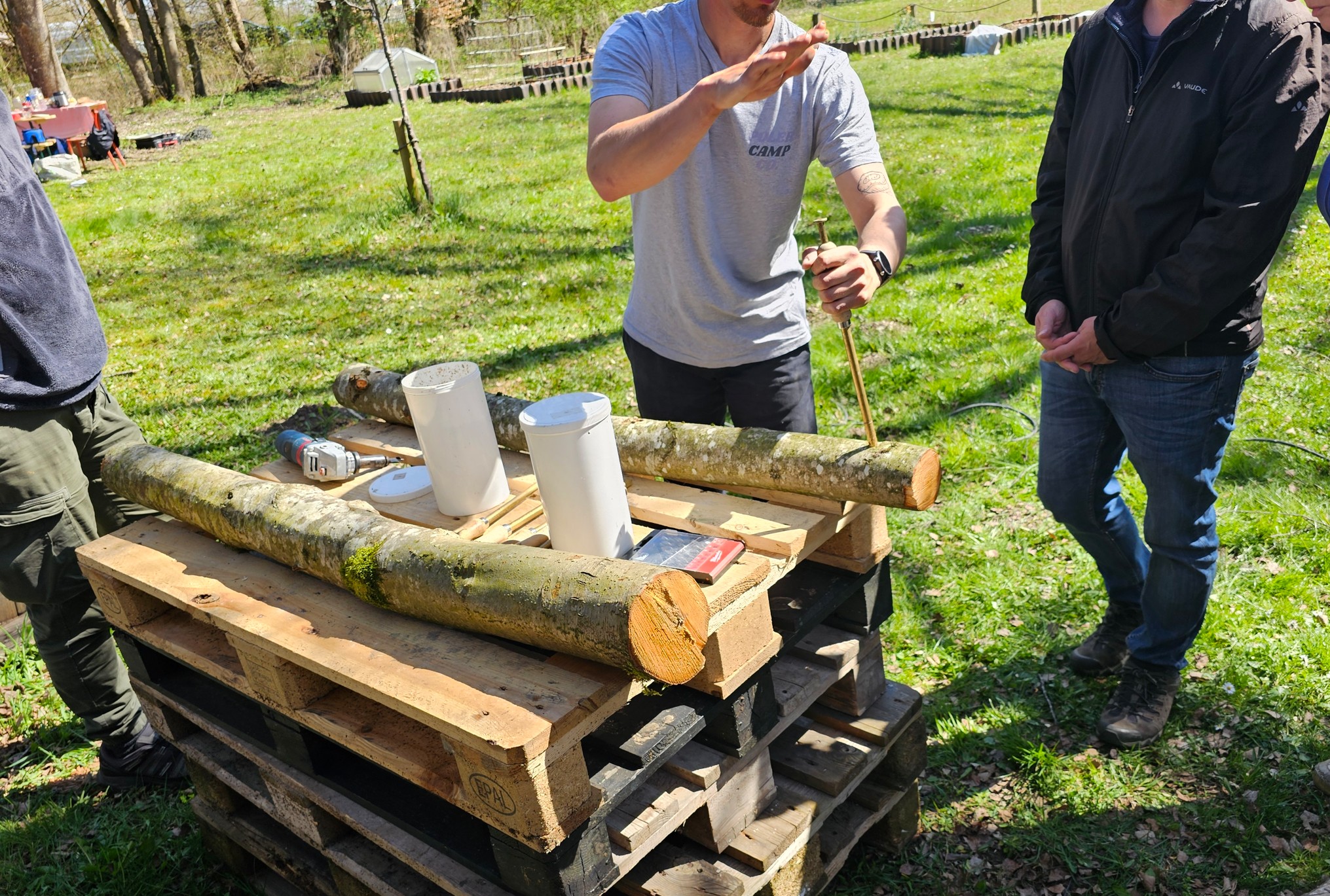 Screenshot 2026-03-21 164237