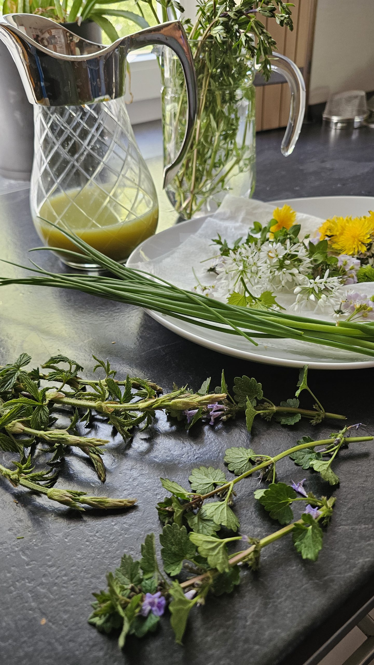 Kochen mit Wildpflanzen