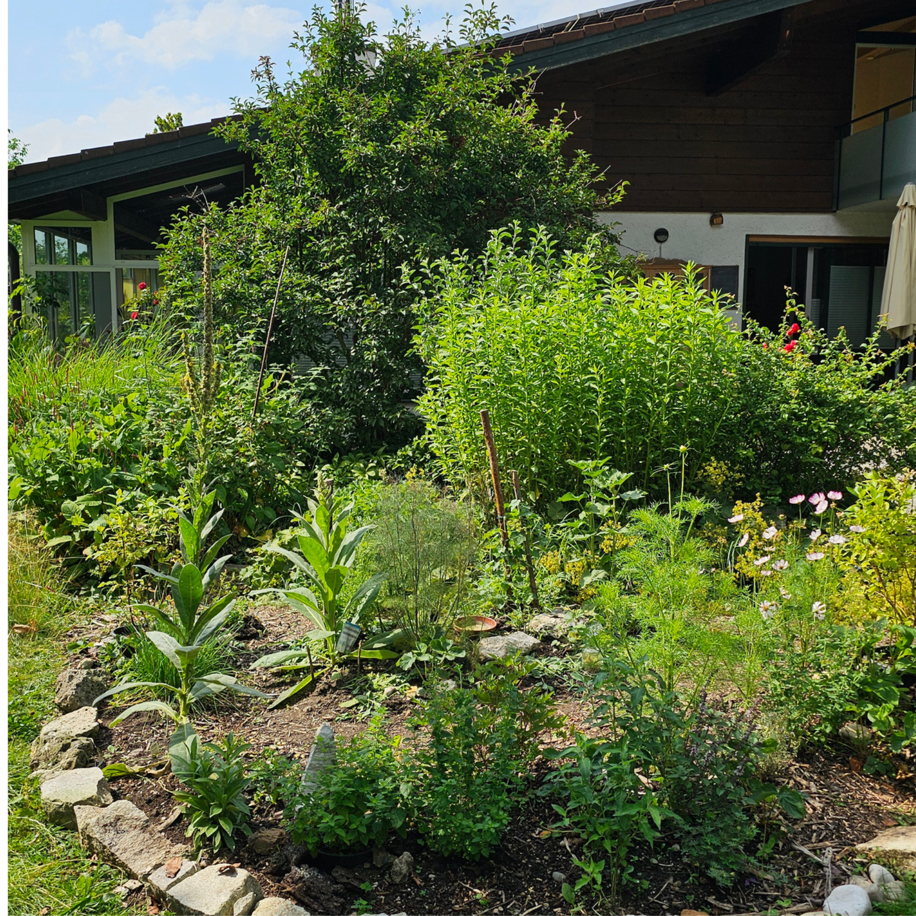 Gartenplanung "essbare" Landschaft