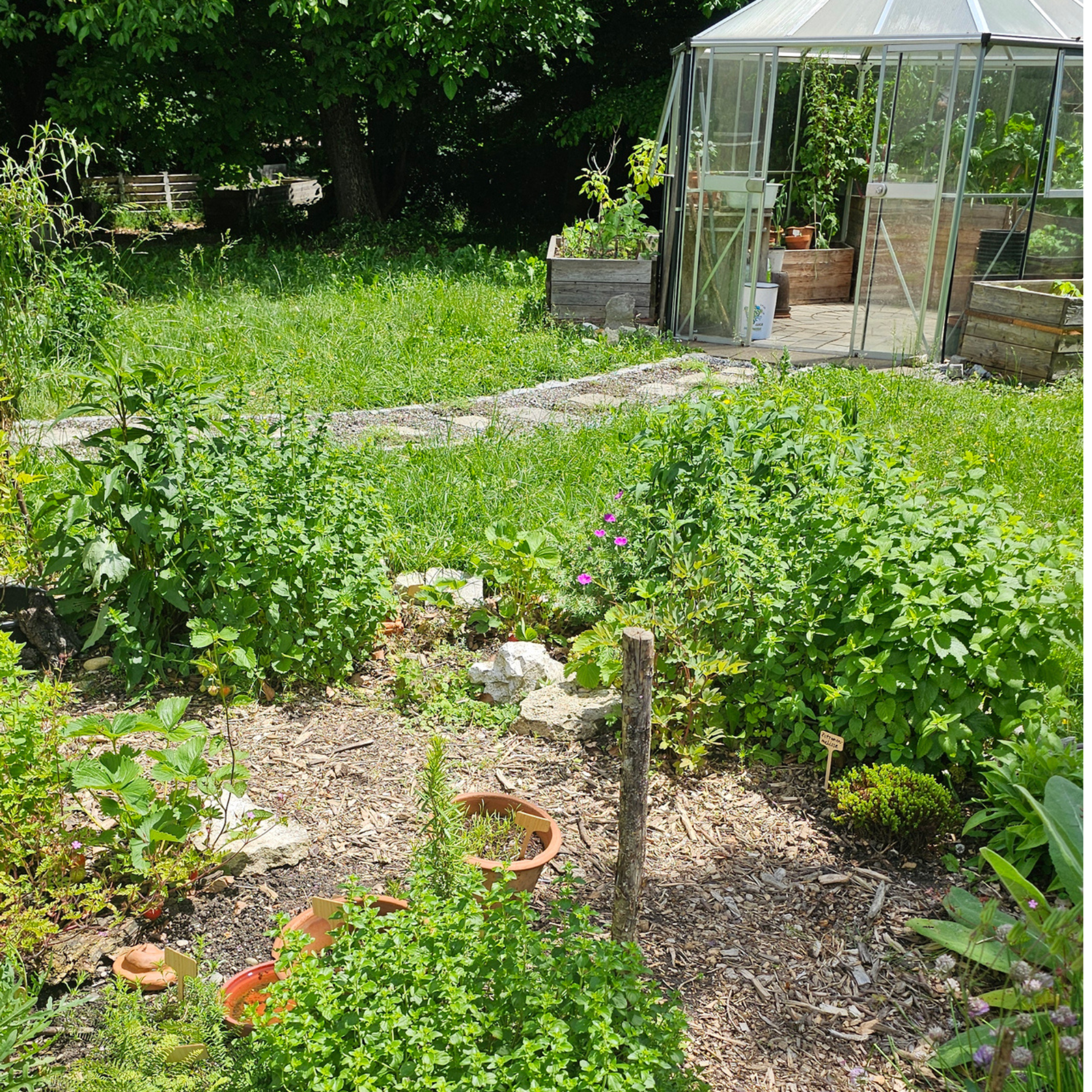 Gartenplanung "essbare" Landschaft